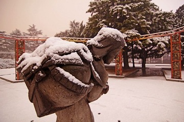 IMG_6476.jpg