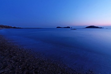 IMG_4238.jpg