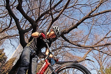 IMG_8156.jpg