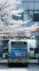 HQC_4748