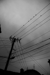 DSC_4924_