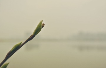 DSC_8288_