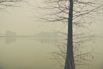 DSC_8297_