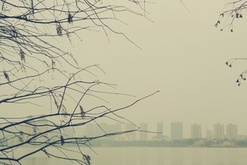 DSC_8299_