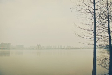 DSC_8301_