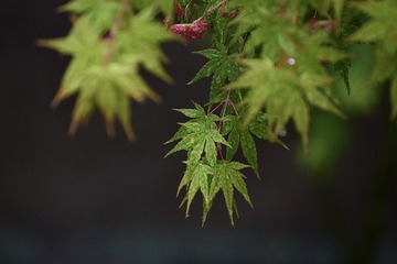 D81074F3-E57B-4A04-9FBE-567829AC20A5/L0/001