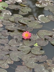 001