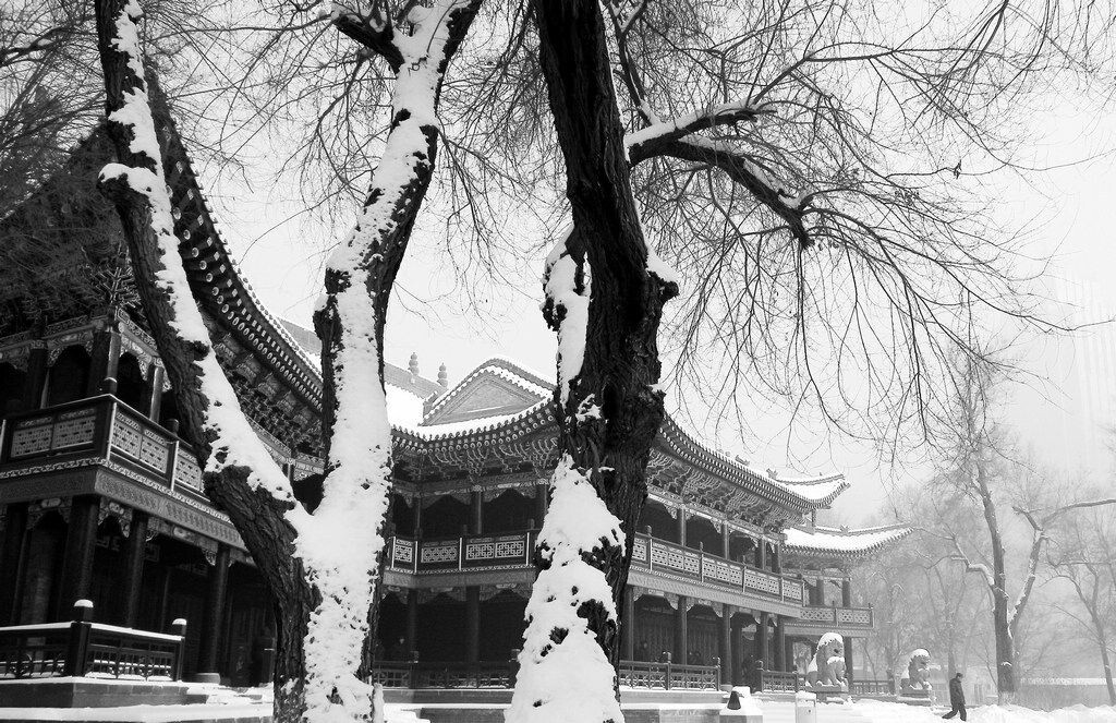 古建筑总是和园林构成和谐之景。
