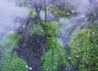 初雪