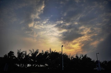_D3S2697