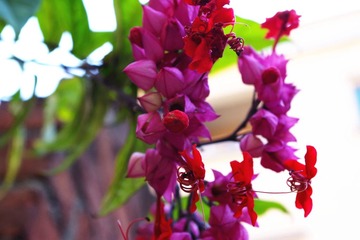 IMGP0237_