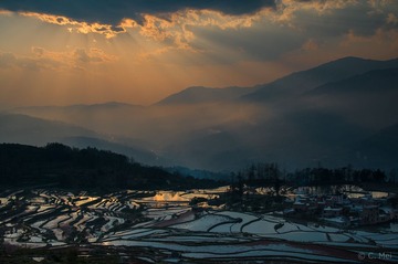 _DSC7993
