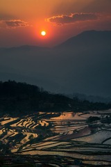 _DSC8087