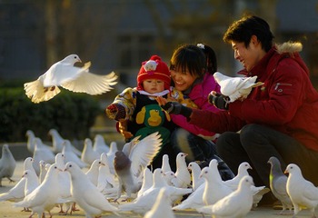 乐