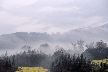 _LEE1212副
