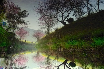 _LEE1556