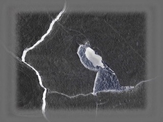 2013-3-2 128