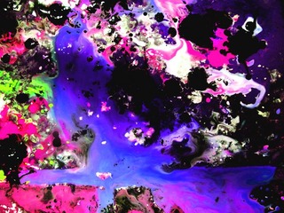 林楠泼墨6