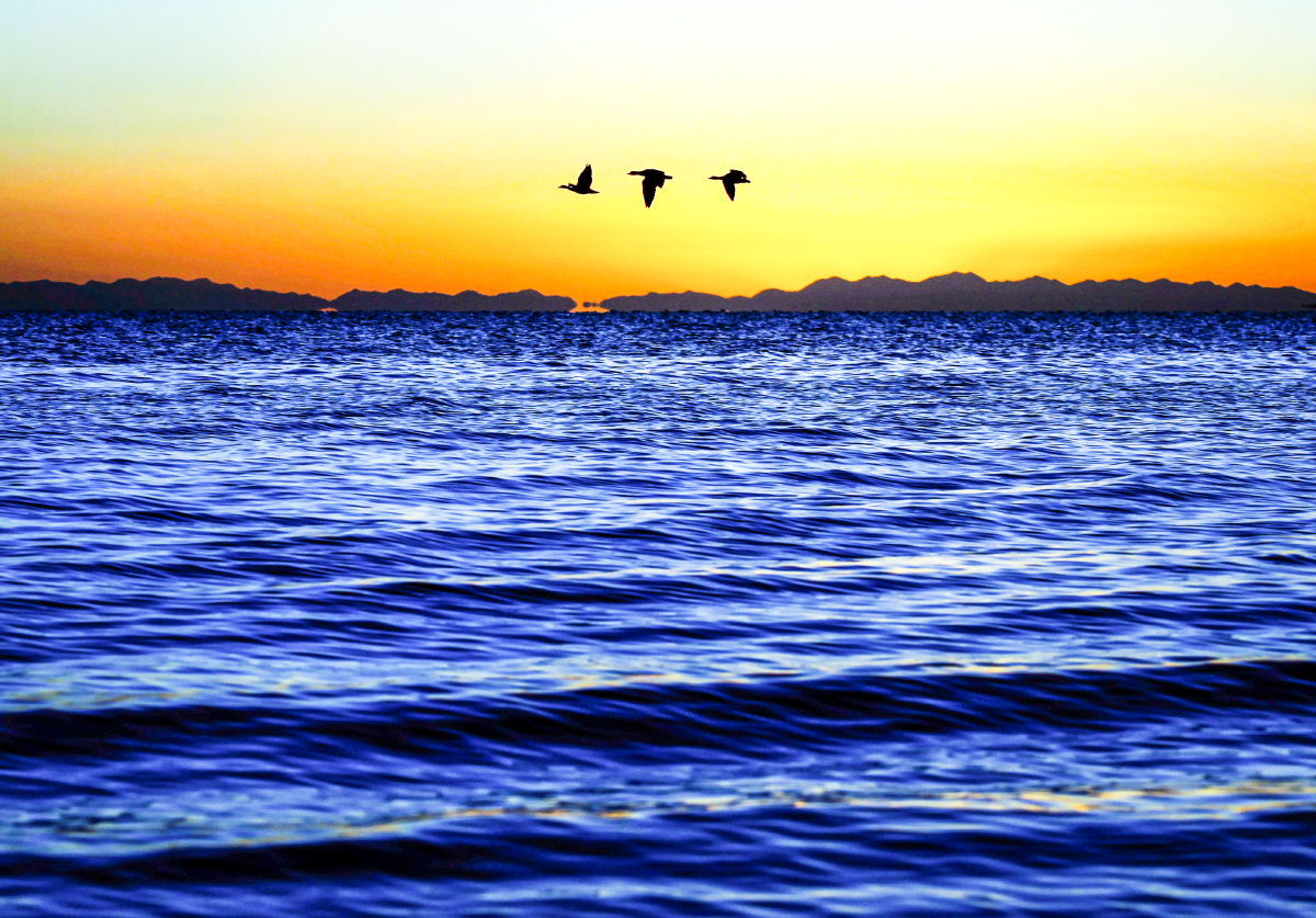 青海湖日出 - 我在太阳下 - 图虫网 - 优质摄影师交流社区