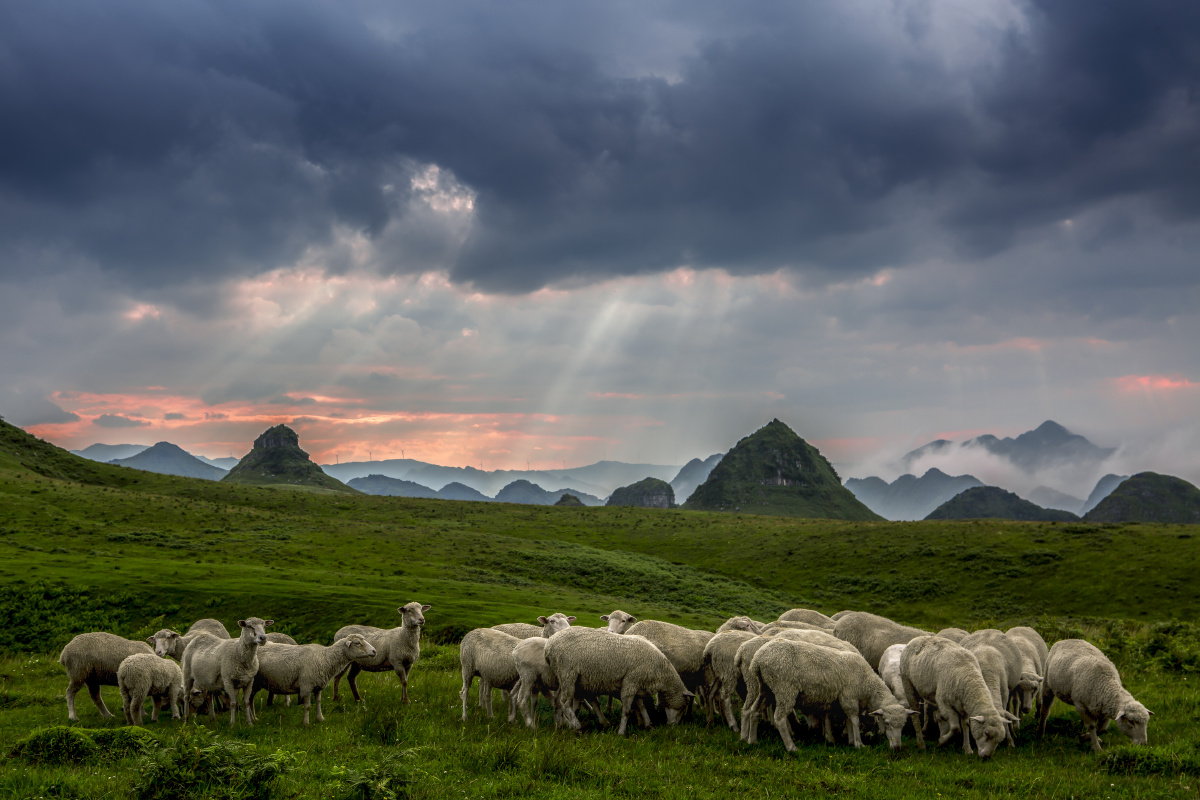 贵州省赫章县的夜郎国一直像迷一样吸引着我.引导我去探索.