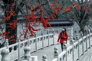 风中的红飘带