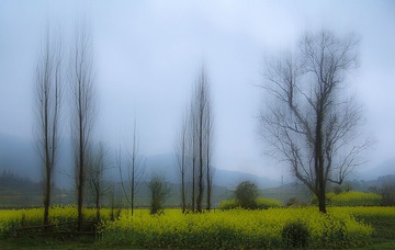徽州烟雨