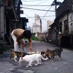 IMG_20110622_172925