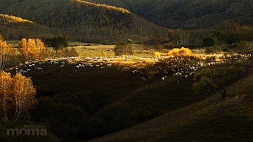 IMG_4952x
