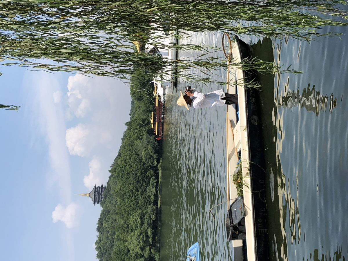西湖##手机摄影# 拍的一言难尽.