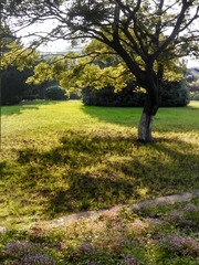IMG_20150516_164853