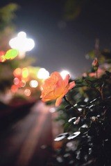 310168EF-6FFD-47F1-982B-F4AF791D7F11/L0/001