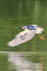 78940