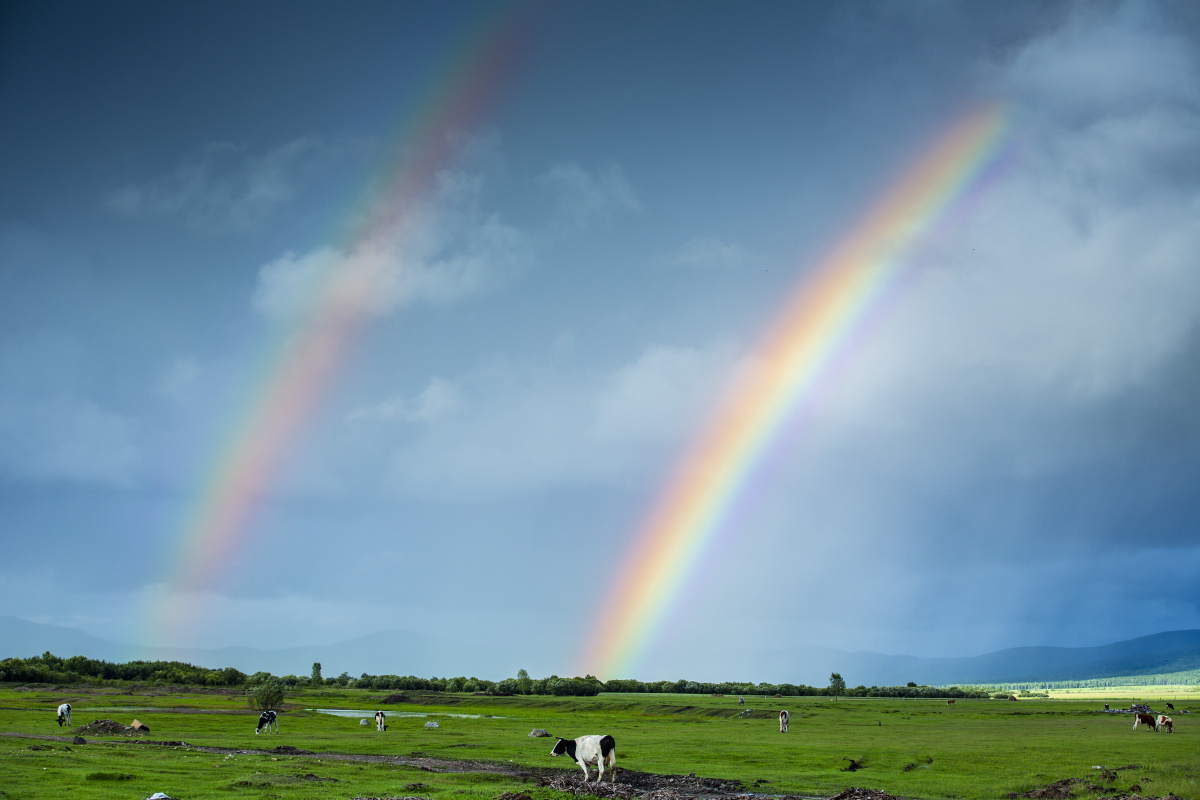 双彩虹下的呼伦贝尔大草原