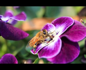 IMG_6958_