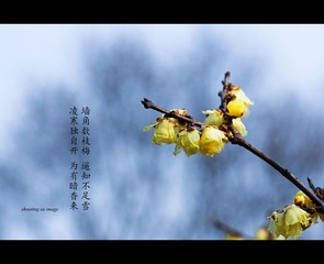 IMG_6980-2_