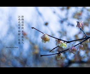 IMG_6982-2_
