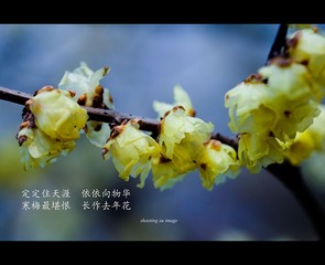 IMG_6989-2_