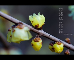 IMG_6992-2_