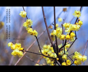 IMG_6996-2_