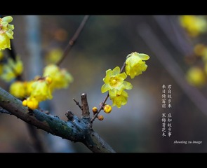 IMG_6998-2_