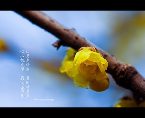 IMG_7011-2_