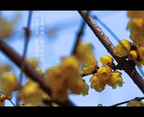 IMG_7012-2_