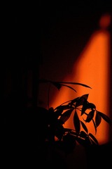 67F2C715-4CF4-4966-AE62-5D67388AAB6B/L0/001