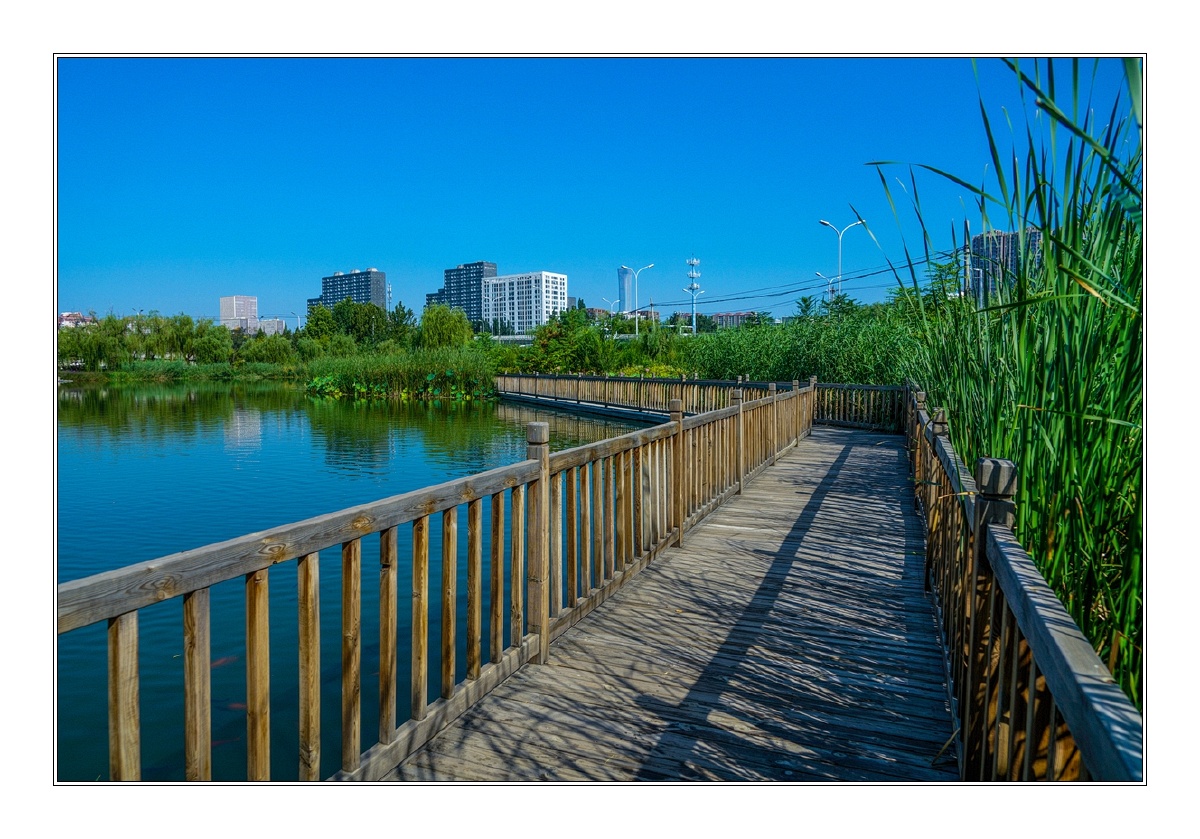 窑洼湖公园东园