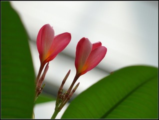 201608165