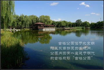 20156082600