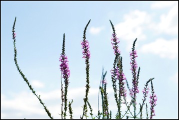 20156082609