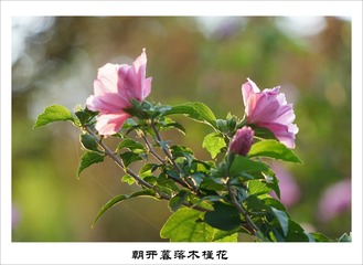201609150
