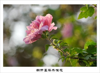 201609152