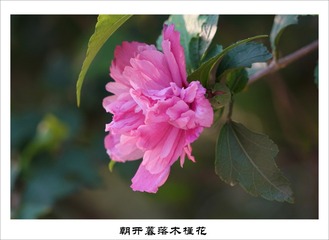 201609156